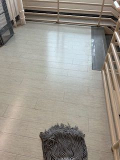 Before & After Commercial Floor Cleaning in Clemmons, NC (2)